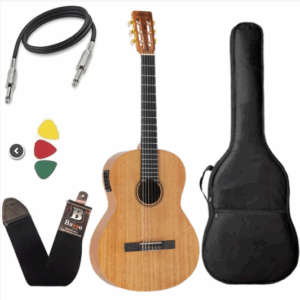 Stringburg Forest FS3C Guitar